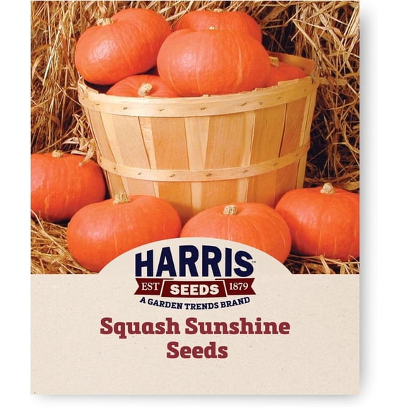 Harris Seeds Sunshine F1 Winter Squash (Kabocha Type), Sweet Orange Flesh, Treated, 25 Count