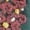 Maroon, variant on Embroidered Flower Pattern Socks