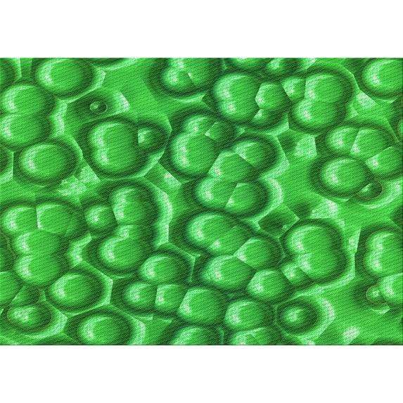 Ahgly Company Indoor Rectangle Patterned Green Area Rugs, 8' x 12'