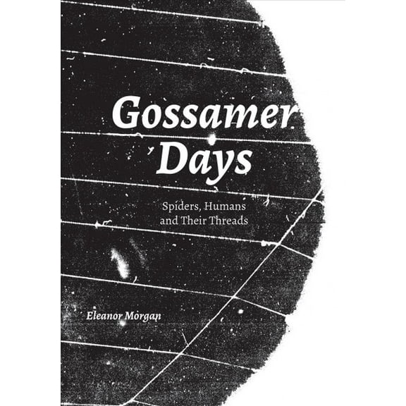 Gossamer Days : Spiders, Humans and Their Threads (Paperback)