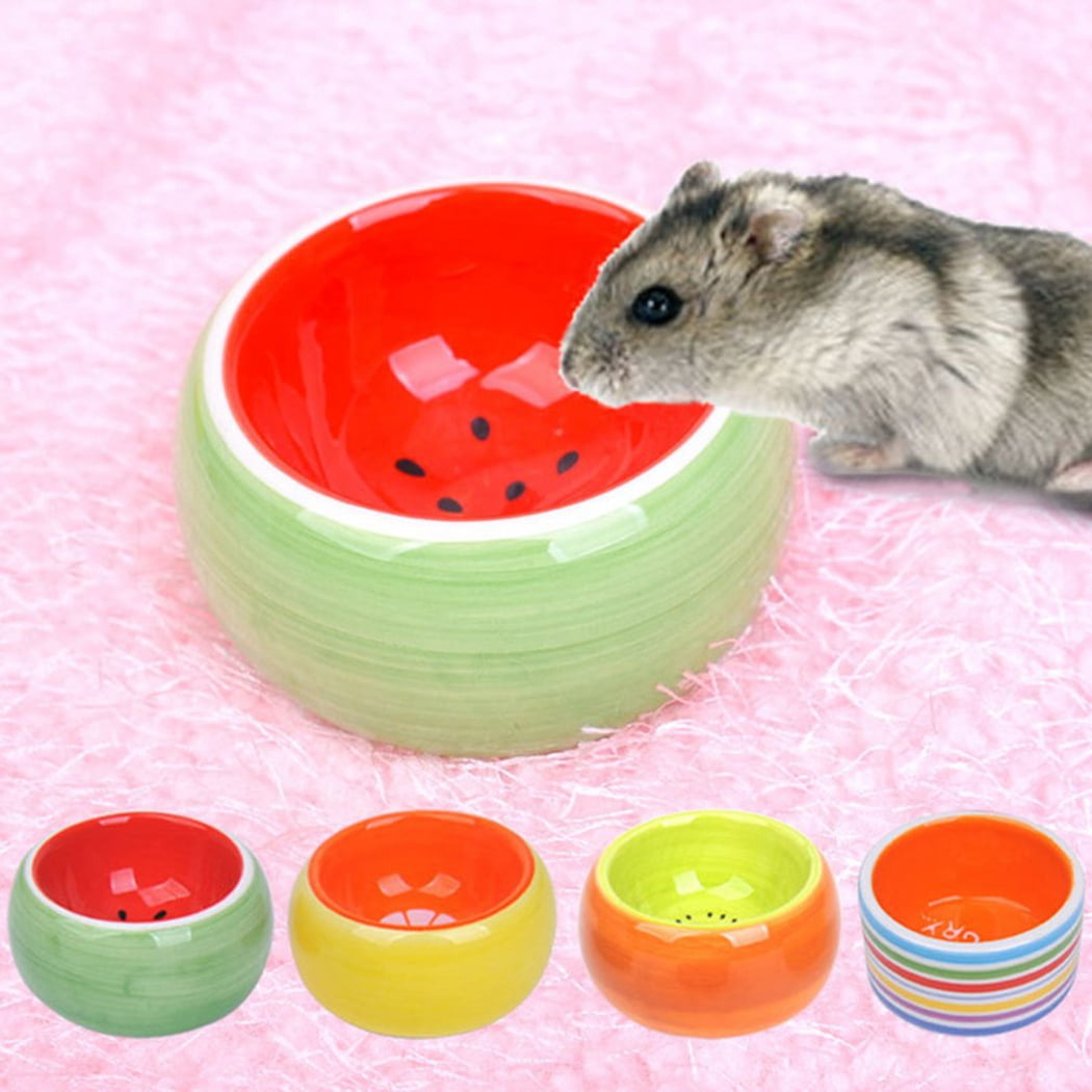 hamster bowl