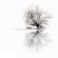 thumbnail image 3 of Van de Goor, Lars 15x15 Black Modern Framed Museum Art Print Titled - Winter, 3 of 5