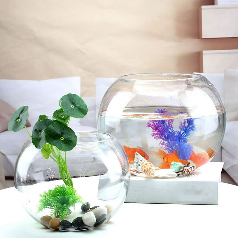 Plant Vase Glass Fish Tank Bubble Ball Tortoise Bowls for Goldfish