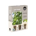 thumbnail image 1 of TASC Seed Plugs- Sweet Basil (6/PKG), 1 of 1