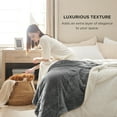 Cozy Comfort Sherpa Fleece Queen Size Blankets Grey Thick and Warm