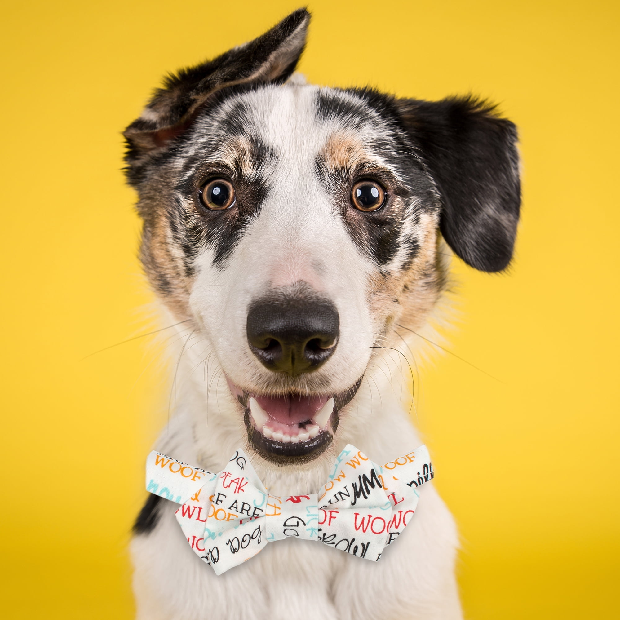 Fabric Editions Create It 18"x21" Cotton Dog Words White Precut Sewing & Craft Fabric, 10 Pieces