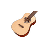 Cordoba Mini II Padauk Acoustic Guitar