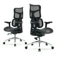 thumbnail image 1 of SIHOO S100 Ergonomic Office Wheels Chair - Dual Dynamic Lumbar Support, 4D Coordinated armrests Adjustable Desk Chair for Home Office Black, 1 of 10