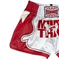 thumbnail image 4 of Fluory Cortex Muay Thai Embroidered Shorts Leather Cool Training Fitness Gymwear for Men, 4 of 6