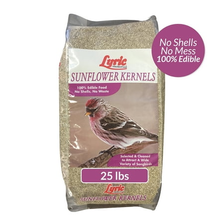 Lyric® Sunflower Kernels Wild Bird Seed - No Waste Bird Food - 25 lb. Bag