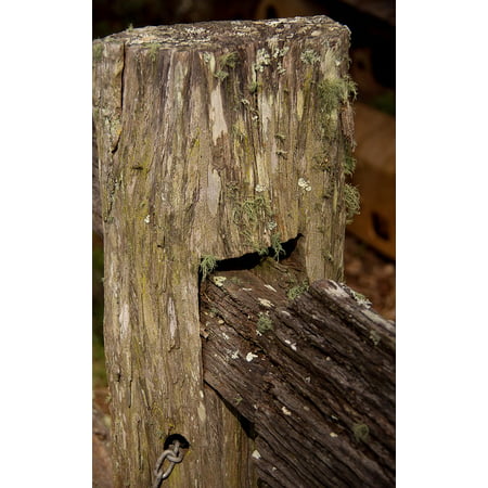 Laminated Poster Detail Wooden Wood Historic Old Fence Joint Poster Print 11 x (Best Paint For Old Wood Fence)