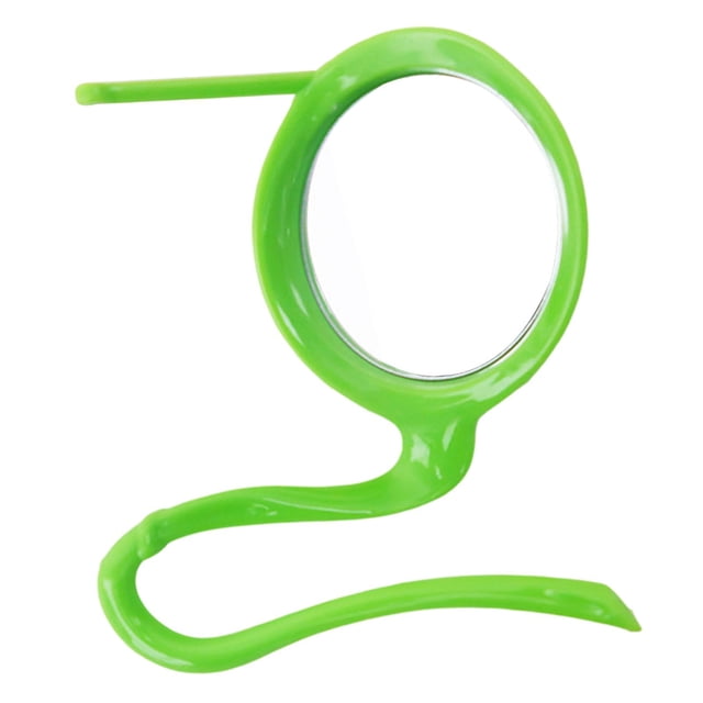 Mascota loro percha pájaro espejo jaula interactiva accesorios 2 en 1 percha fruta tenedor para cacatúa canarios pinzó