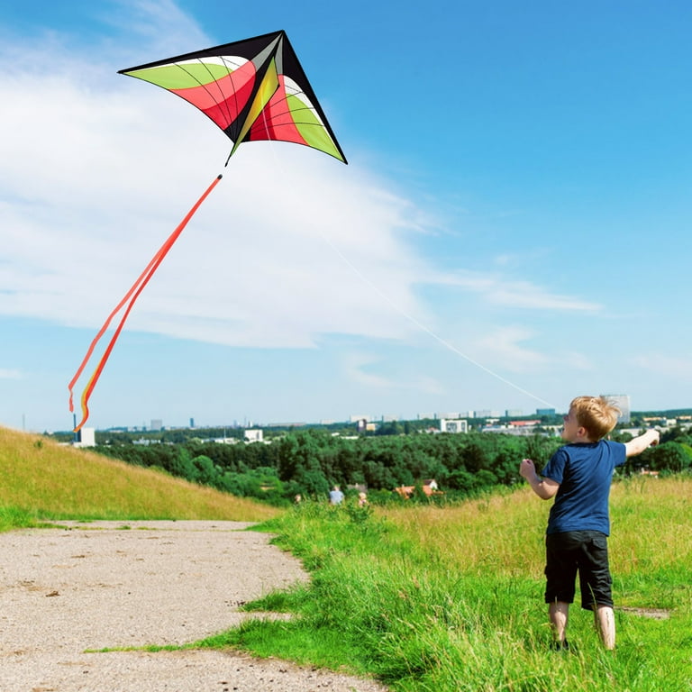 Holloyiver Large Delta Kite for Kids & Adults | Easy to Fly Kite for Beach Trip