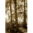 thumbnail image 2 of Alan Hausenflock 4x24 White Modern Wood Framed Wall Art Titled - Tropical Garden I, 2 of 5