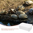 thumbnail image 2 of HAMPPLIES White Plastic Turtle Tank Aquarium with Platform Ramp for Home Turtle Habitat, 2 of 8