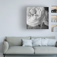 thumbnail image 3 of Judy Stalus 'Dark Ranunculus II' Canvas Art, 3 of 3