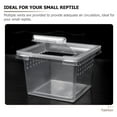 thumbnail image 3 of OULII 10Pcs Transparent Spider Breeding Box Plastic for All Reptile Animals, 3 of 8