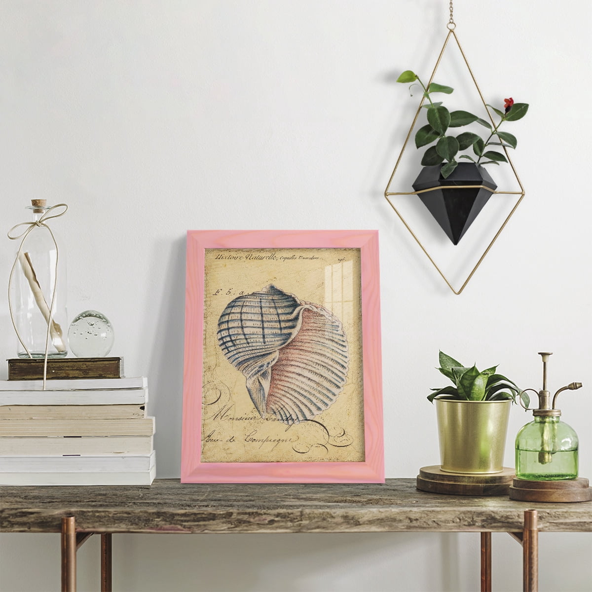 Seashell Ephemera V - Framed Print w/glass - Sunset Pink