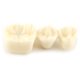 thumbnail image 3 of Modelo dental Higoodz Resina Dental Demostración Educativa Diente Análisis de implantes 10.5 x 7 x 8 cm, 3 of 5