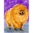 thumbnail image 1 of Carolines Treasures SS8681GF 11 x 15 in. Pomeranian Garden Size Flag, 1 of 3