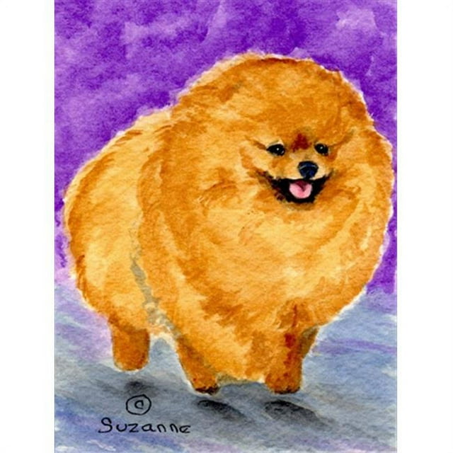 Carolines Treasures SS8681GF 11 x 15 Po Drapeau de Taille de Jardin Pomeranian
