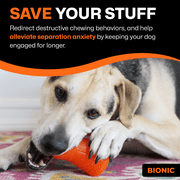 BIONIC Treat Shaker, Large
