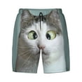 thumbnail image 4 of Lsque Mens Swim Trunks Funny Cat Pattern - Bathing Suit Compression Liner - Beach Swim Shorts Swimwear - (S-3XL) - Stretch Quick Dry -X-Large, 4 of 9