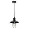 thumbnail image 6 of Radiant 1 Light Pendant in Black, 6 of 6