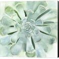 thumbnail image 1 of Verdant Succulent IV by Victoria Borges, Canvas Wall Art, 24W x 24H, 1 of 2