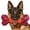 1 PC-Peanut Butter-Orange, variant on Tough Dog Toys for Aggressive Chewers: Beef Flavored Long Lasting Dog Bones for Large Dogs, Indestructible Dog Chew Toys to Keep Them Busy, Large Dog Toys for Medium & Large Breed