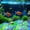 Multicolor, variant on 50 PCS Multi-Color Glow Pebbles,Glow Stones,Glowing Rocks Colorful Decor for Fish Tank Pathway Garden Aquarium Walkway Driveway,Shining Pebbles Driven by Light or Sunlight