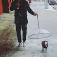 thumbnail image 3 of CEHVOM Pet Dog Umbrella With Leash For Small Pet, Fits 20” Back Length Pet, 3 of 9