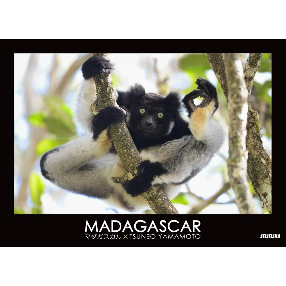 Madagascar (Paperback) - Walmart.com - Walmart.com
