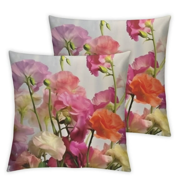 Flower Pillow Sham  Sweetpea Floral Romantic Dissolving Watercolor Look, Quality Microfiber Bedding Item for All Seasons, Pale Pink Lavender