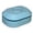 Sky Blue, variant on Rirozkan Cleaning Tool, Multi-Purpose Clip Holder, Disposable Rag Clamp, Small Clamp for Holding Towels and Cleaning Cloths
