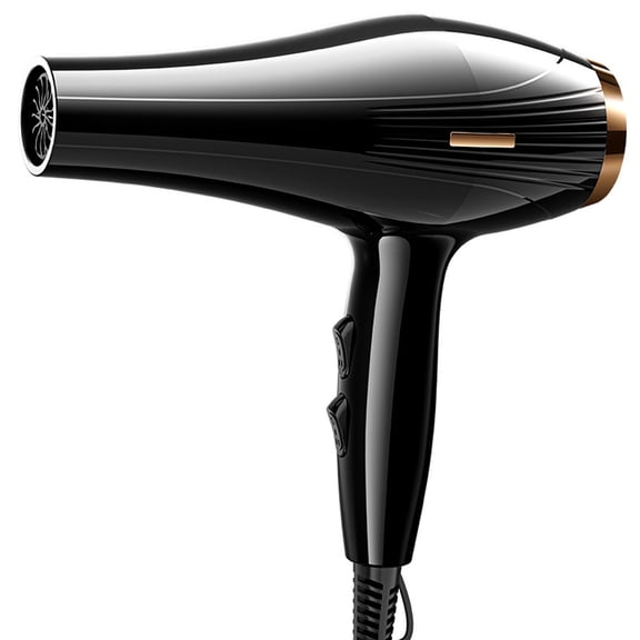 Professional Hair Dryer Blow Dryer with Concentrator for Curly Hair Ionic Salon Hair Dryer with Ceramic Technology Fasting Drying Light and Quiet
