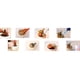 thumbnail image 4 of Dispositivo de plántulas de carnosidad Pinzas Pala Herramienta de jardinería 15PCS Xemadio CKCHL4CK1, 4 of 9