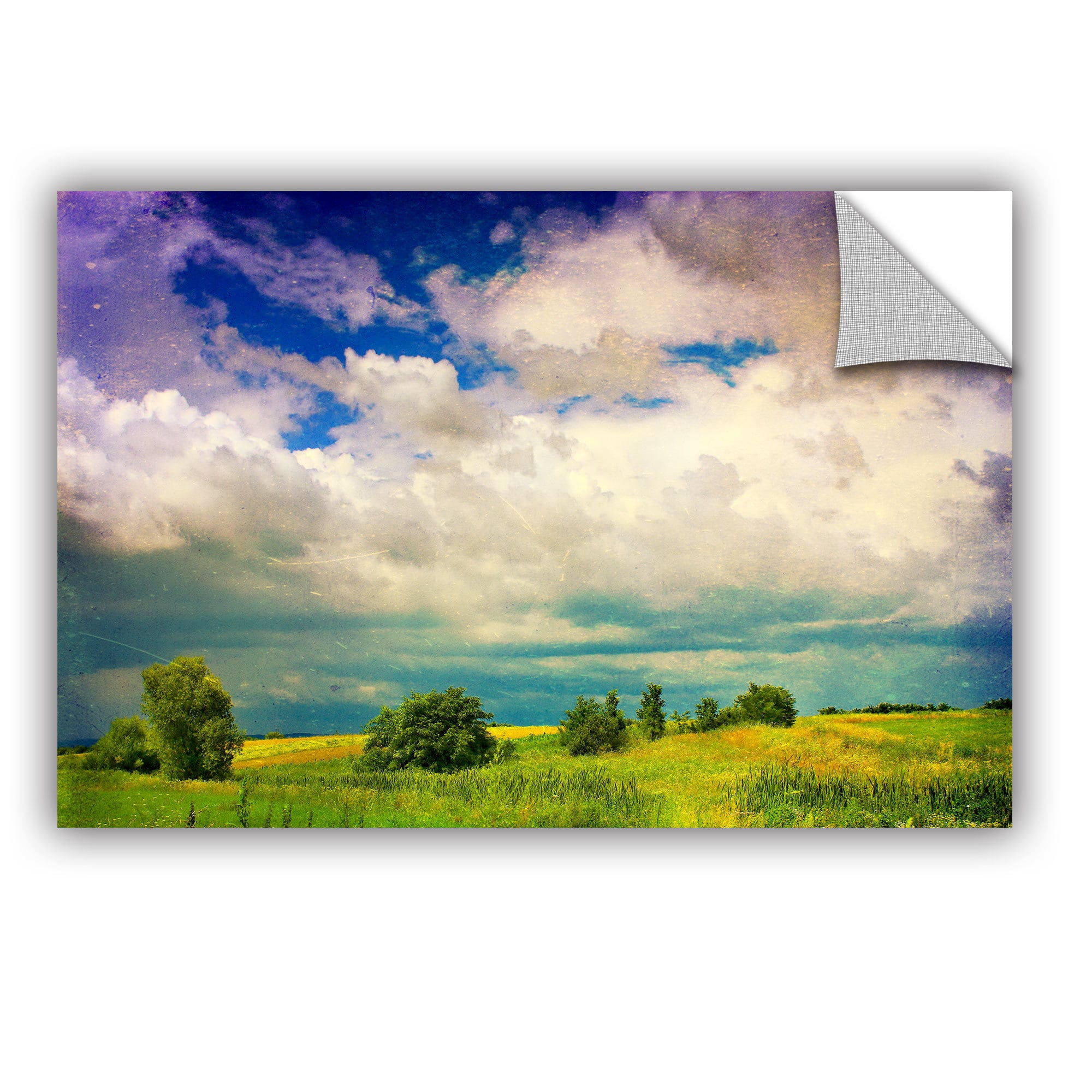 ArtAppealz Dragos Dumitrascu "Mighty Clouds" Removable Wall Art