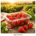 thumbnail image 4 of Fresas 454 g, 4 of 5