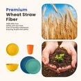 thumbnail image 3 of Juego de vajilla Homienly Premium Wheat Straw, 40 piezas para 8, 3 of 8