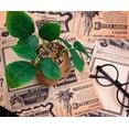 thumbnail image 4 of Harry Potter Mandrake Face 6-Inch Ceramic Planter with Artificial Succulent, 4 of 7