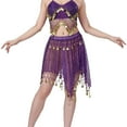 thumbnail image 2 of DYTTDG Mesh Sequin Coin Exotic Belly Dance Skirt with Asymmetric Tassels | Sparkling Performance Skirt for Stage, Dance & Party, 2 of 8