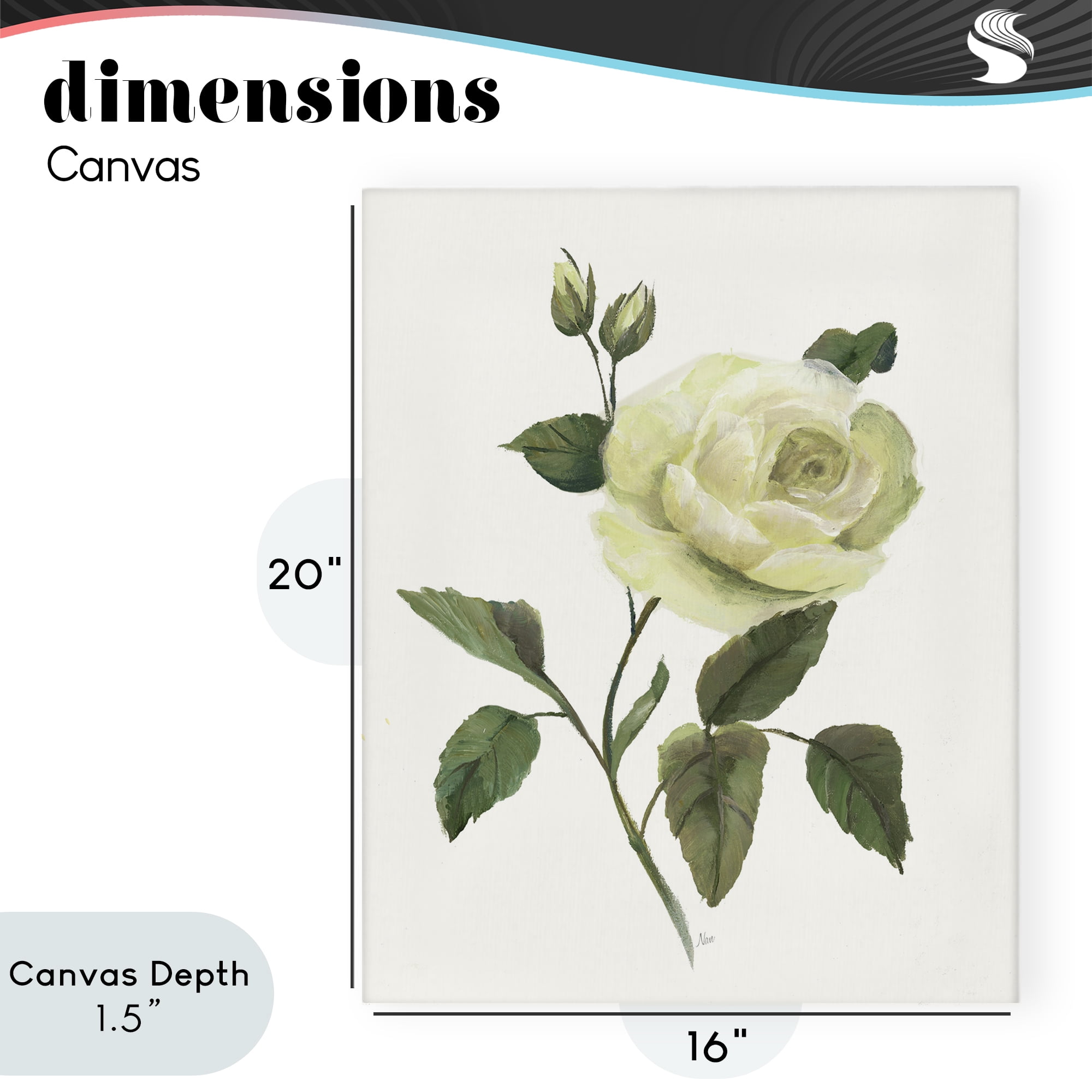Stupell Industries Cream Garden Rose with Buds Canvas Wall Art, design by Nan