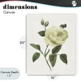 thumbnail image 4 of Stupell Industries Transitional Cream Garden Rose with Buds Canvas Art, 16 x 20, by Nan, 4 of 8