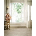 thumbnail image 1 of BSDHOME Polyester 5x7ft Wooden Floor Living Room Balloon Photography Backdrops Photo Props Studio Background, 1 of 2