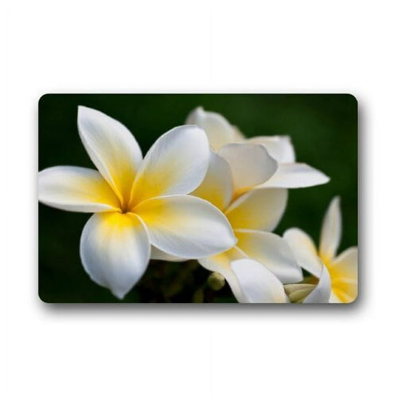 WinHome Plumeria Flowers Doormat Floor Mats Rugs Outdoors/Indoor Doormat Size 23.6x15.7 inches