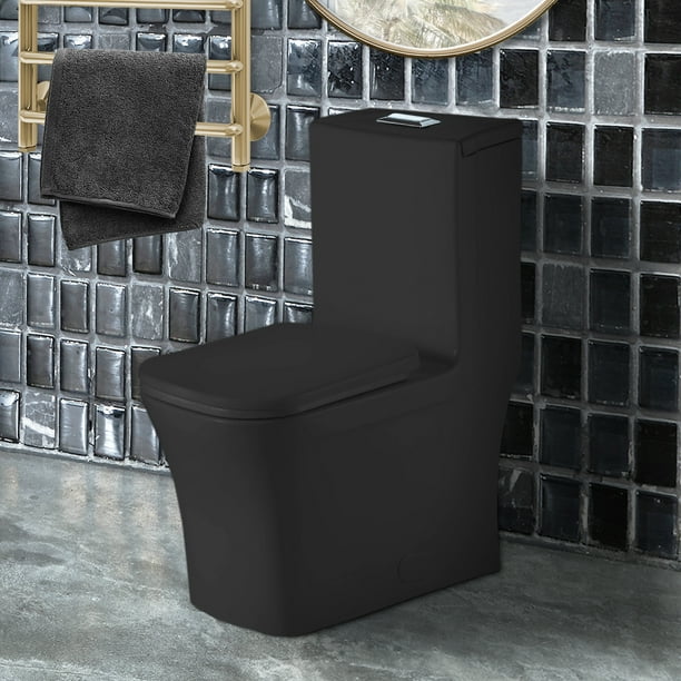 Fine Fixtures DualFlush Elongated OnePiece Toilet with High