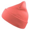thumbnail image 1 of Atlantis  Adult Wind Recycled Cuffed Beanie, 1 of 3