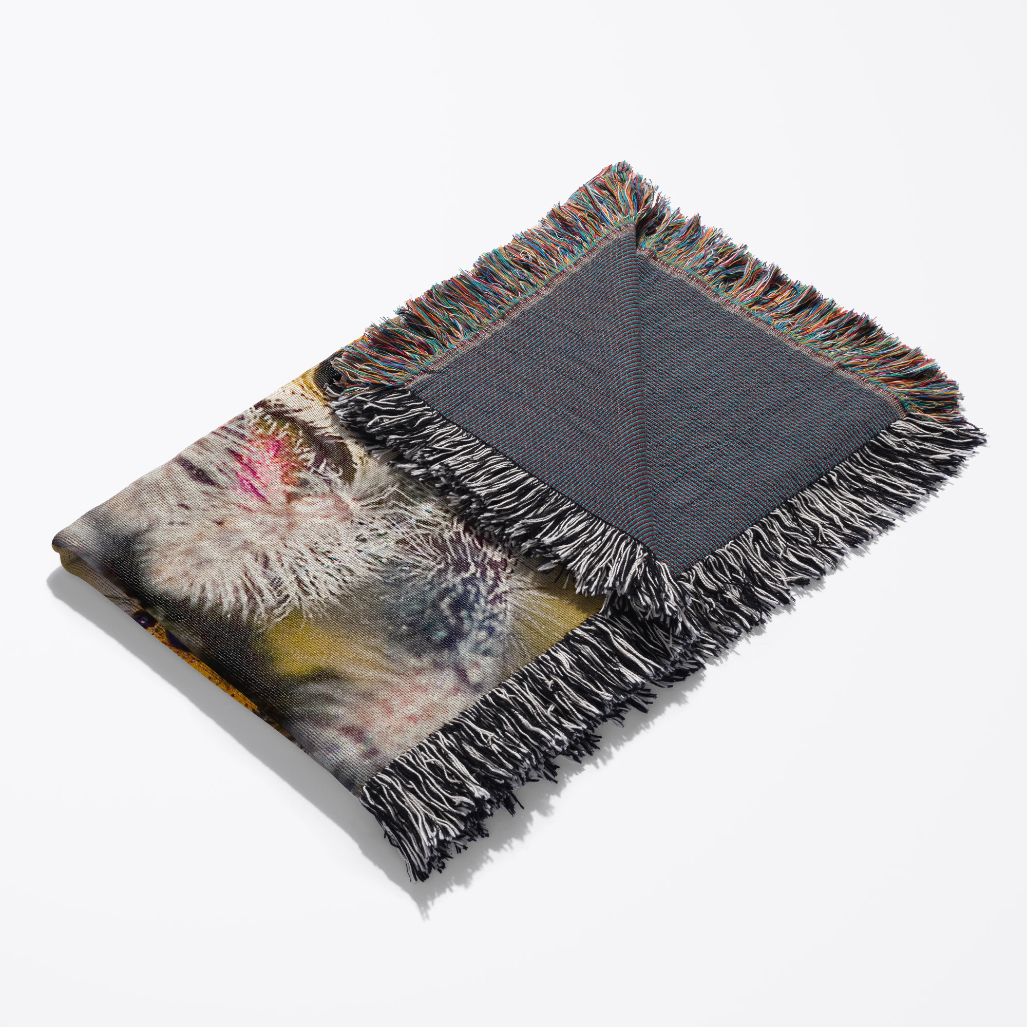 Florida. Close-Up Of Jumping Spider - Us10 Bja0223 - Jaynes Gallery, Woven Blanket