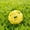 Yellow, variant on Interactive Dog Toys with Auto-Rolling Motion, Durable Dog Toys with Smart Sensor Technology, Dog Toys for Small Dogs and Medium Breeds